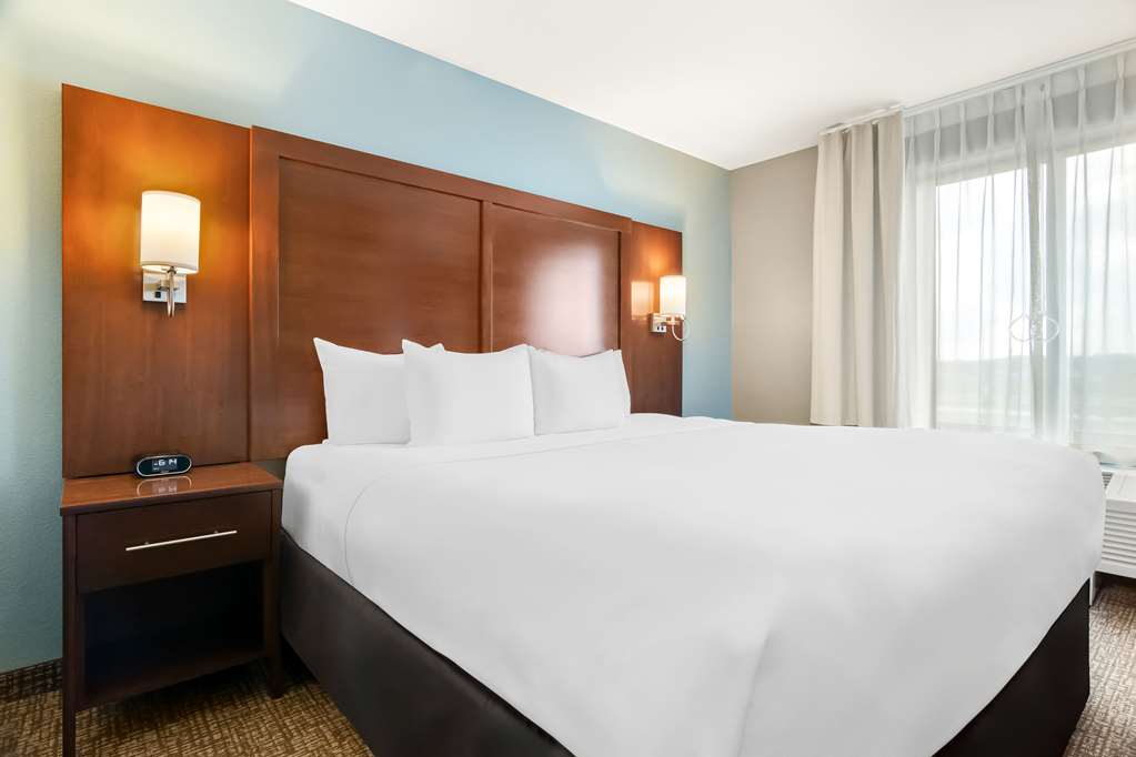 Comfort Suites Rensselaer near Fair Oaks - photo 13