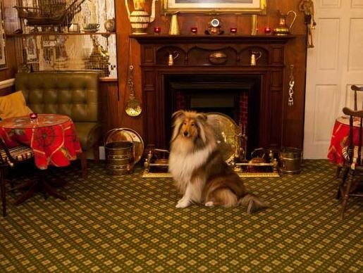 Quarterdeck Hotel in Poole, United Kingdom