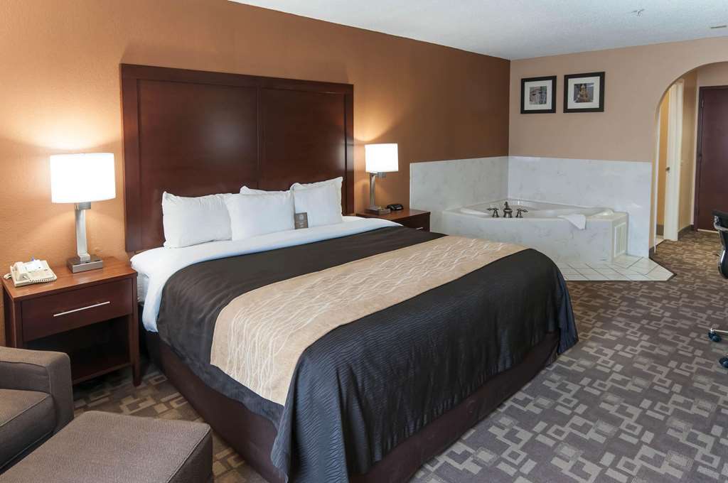 Comfort Inn North Conroe - photo 22