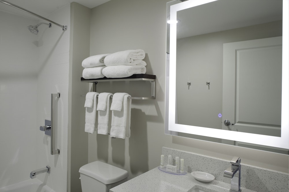 TownePlace Suites by Marriott Detroit Canton - photo 11