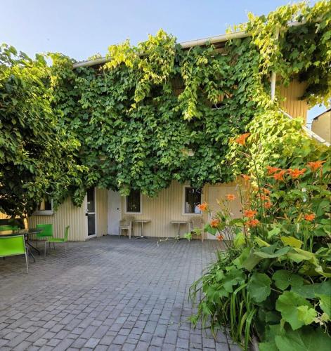Amio more - last minute hotel in Odessa