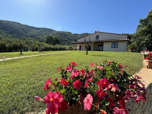 Casa Viviani — 4-Star Luxury Hotel in Lucca, Italy