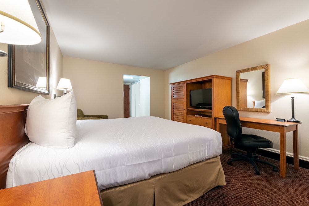 Grand Vista Hotel - photo 7
