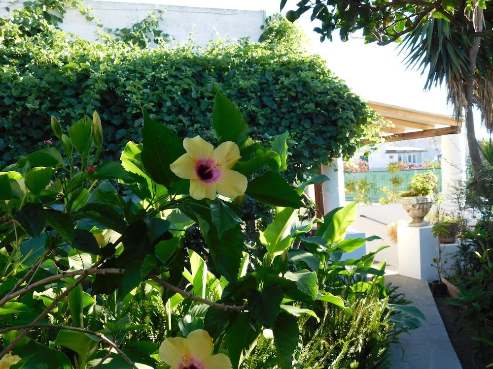 Case La Pergola - carbon neutral hotel in Rome