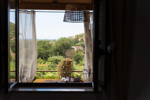 Il Brillocco — Montecorice — photo 3