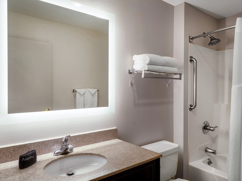 Holiday Inn Express & Suites Chicago Libertyville by IHG - photo 29