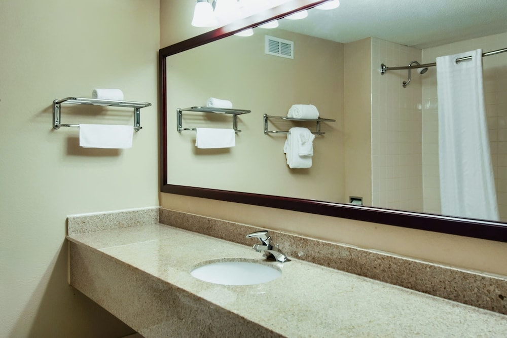 Days Inn & Suites by Wyndham Johnson City - photo 12