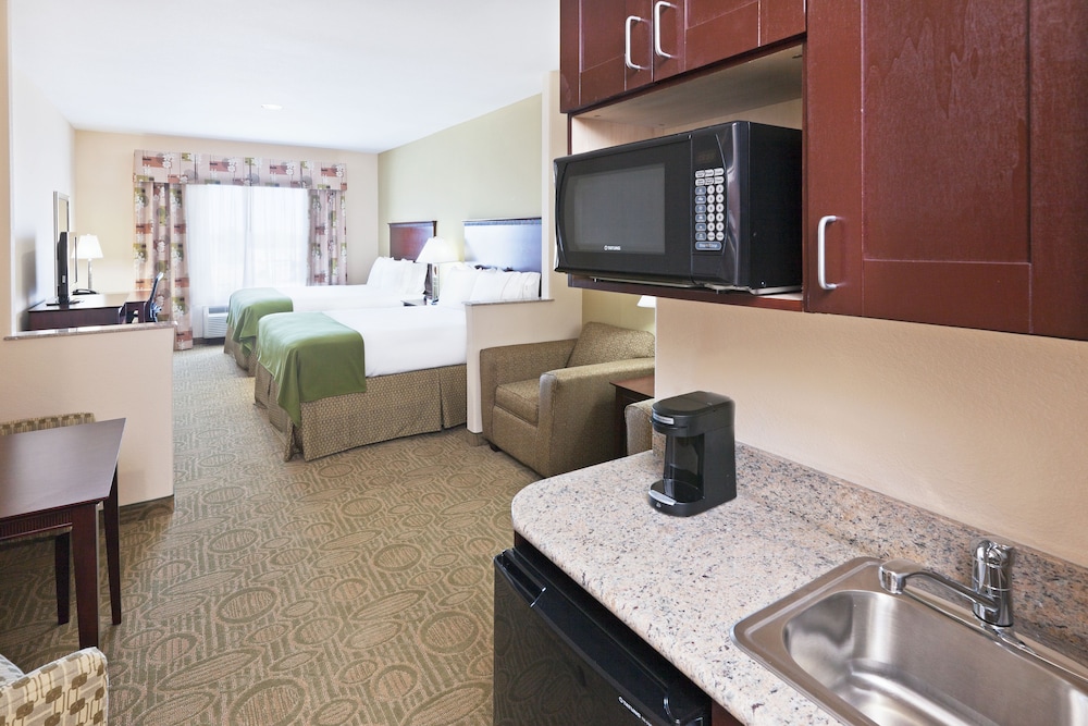Holiday Inn Express Hotel & Suites Brownfield by IHG - photo 14