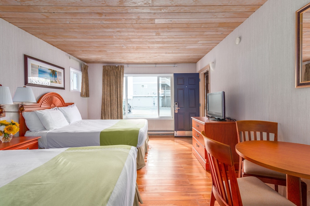 Seashore Inn on the Beach - photo 5