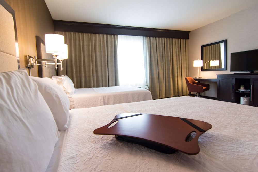 Hampton Inn Orange City - photo 18