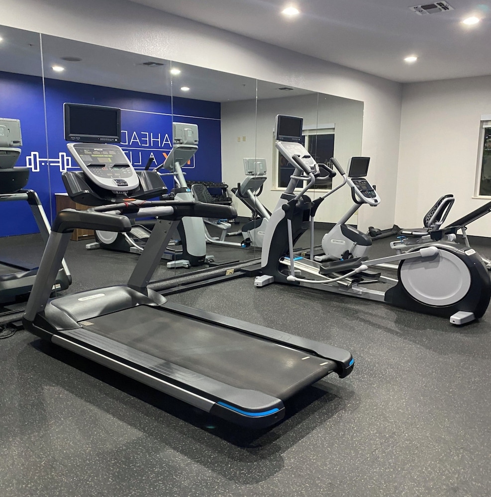 Holiday Inn Express &Suites Snyder by IHG - photo 19