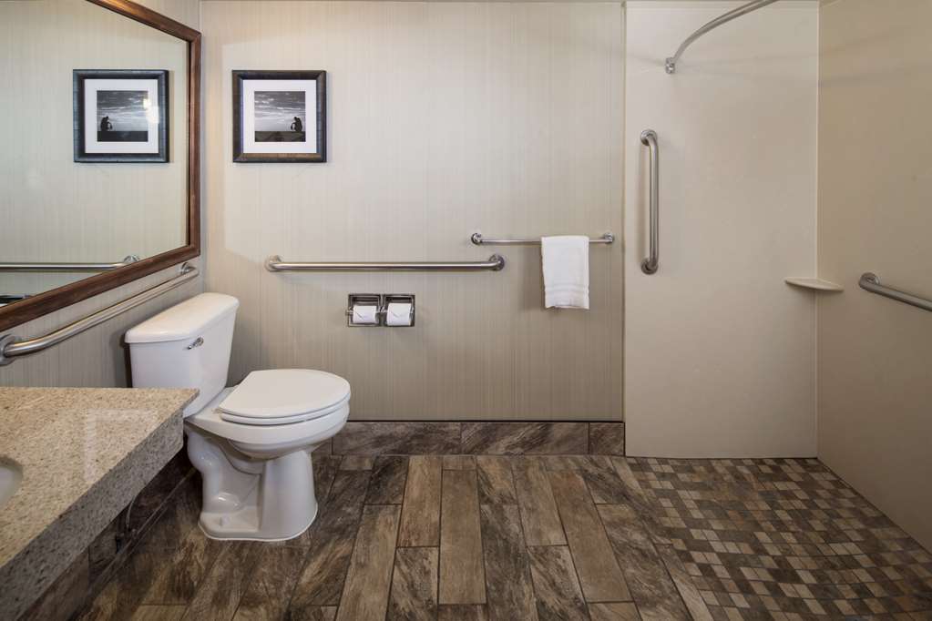 Best Western Ramkota Hotel - photo 22