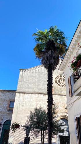 44 Mu Ni in Amelia, Italy