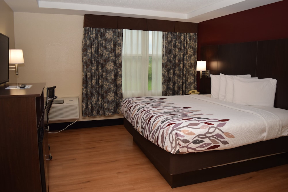 Red Roof Inn Batavia - photo 12