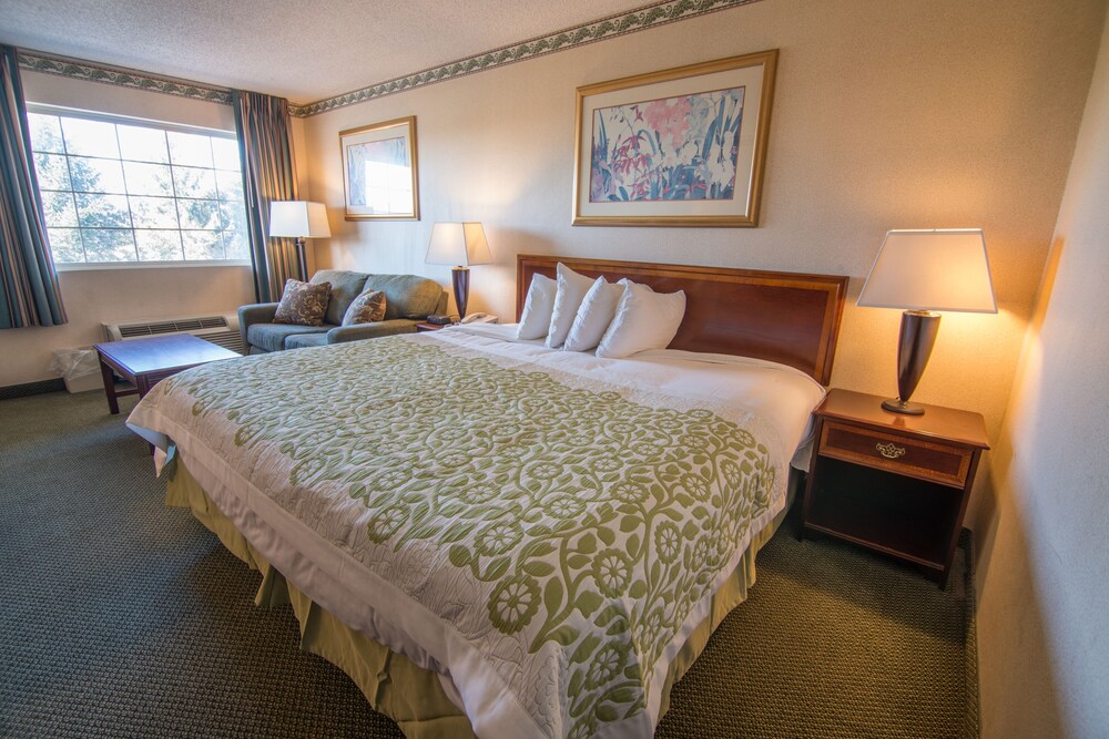 Days Inn & Suites Latham Albany North - photo 12