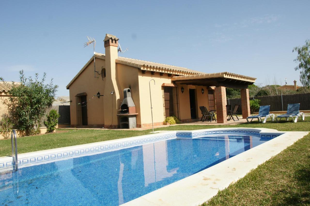 Guaracha in Conil De La Frontera, Spain