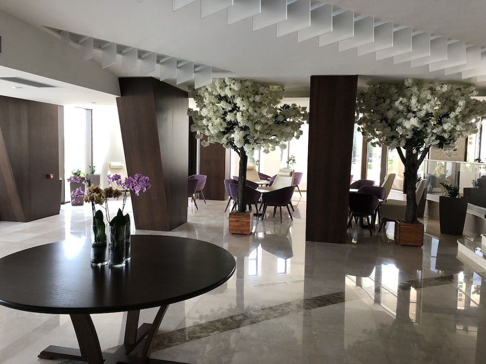 Hotel New Belvedere — Mangalia — photo 3