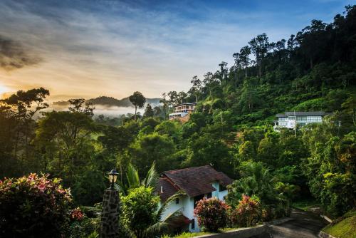 Rest Pause Rainforest Retreat — Kuantan — photo 3