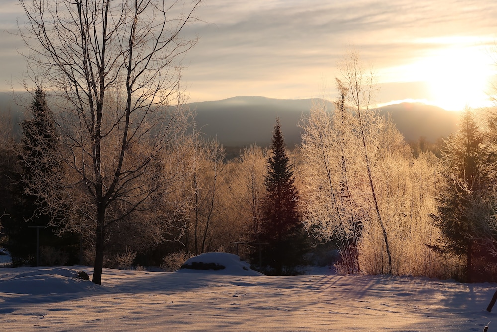 Robert Frost Mountain Cabins - photo 8