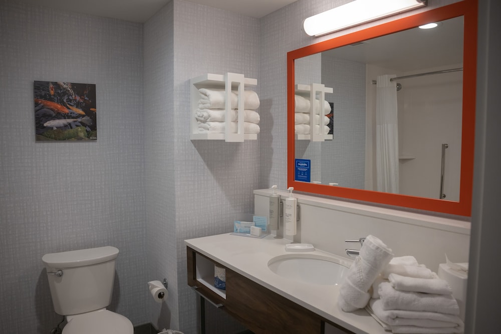 Hampton Inn & Suites Erie Bayfront - photo 26