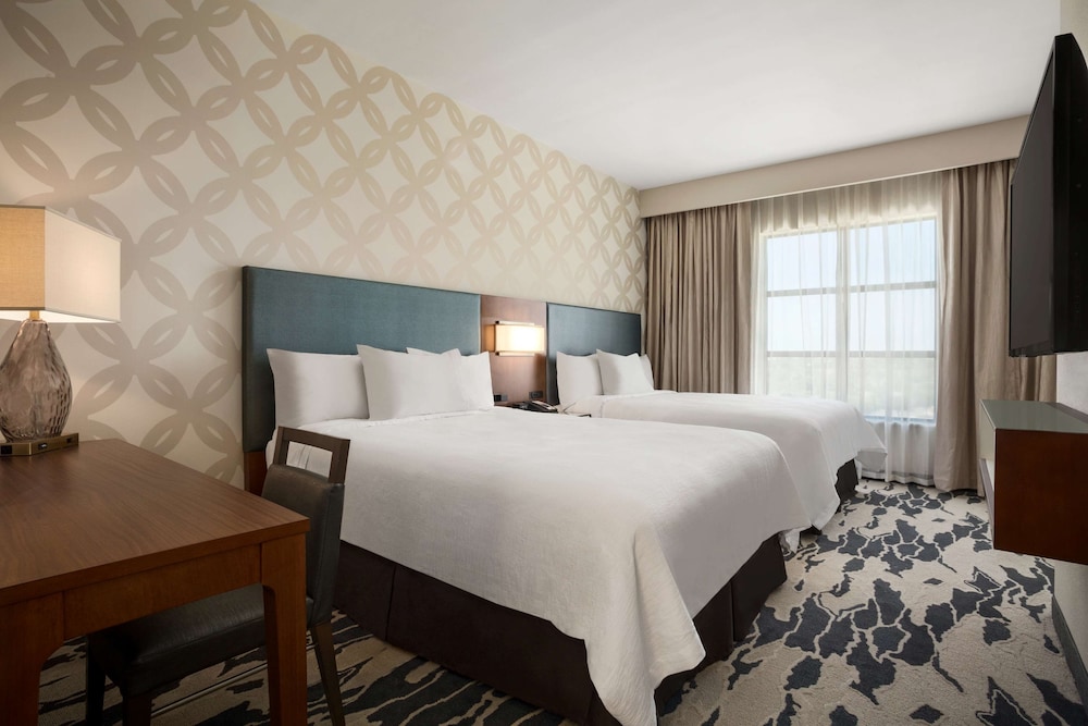 Embassy Suites by Hilton McAllen Convention Center - photo 11