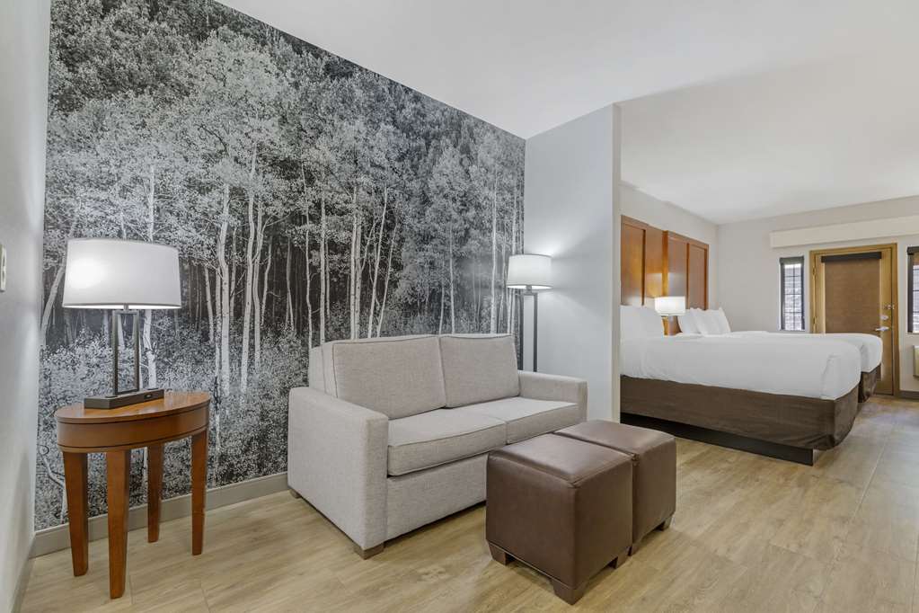 Comfort Suites Golden West on Evergreen Parkway - photo 14