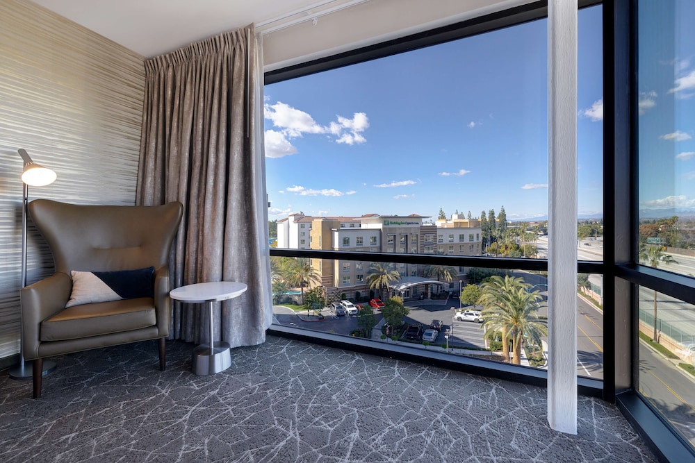 Hilton Garden Inn Anaheim Resort - photo 25