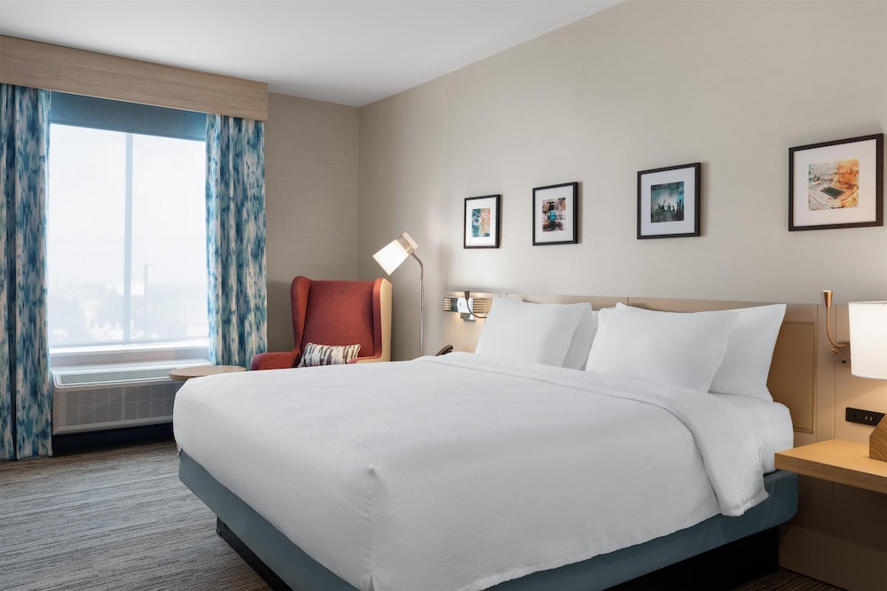 Hilton Garden Inn Austin Central - photo 29