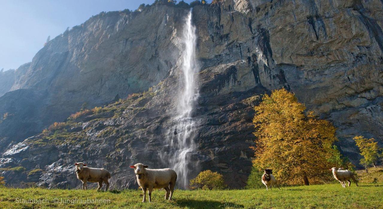Camping Jungfrau Holiday Park — Lauterbrunnen — photo 5