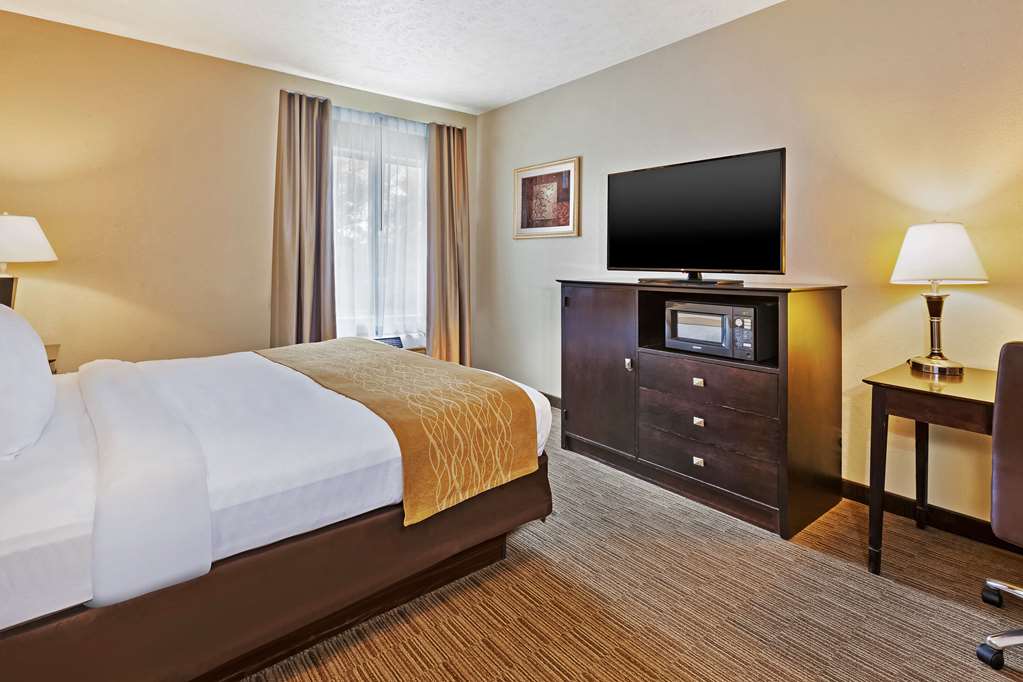 Comfort Inn Whitehall near Michigan's Adventure - photo 15