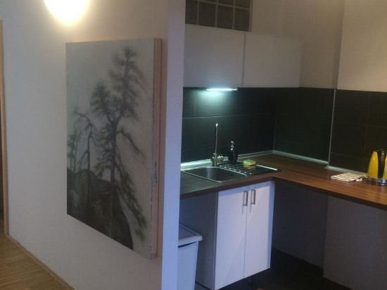 Apartmán Slovinská 28 — 4-Star Luxury Hotel in Brno, Czech Republic