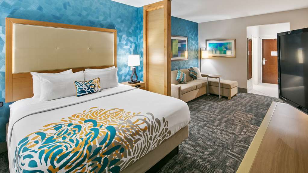 Best Western Plus Houston Atascocita Inn & Suites - photo 10