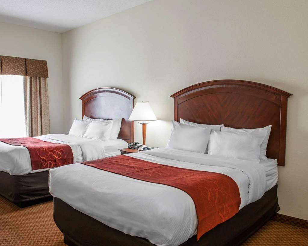 Comfort Suites near Indianapolis Airport - photo 25