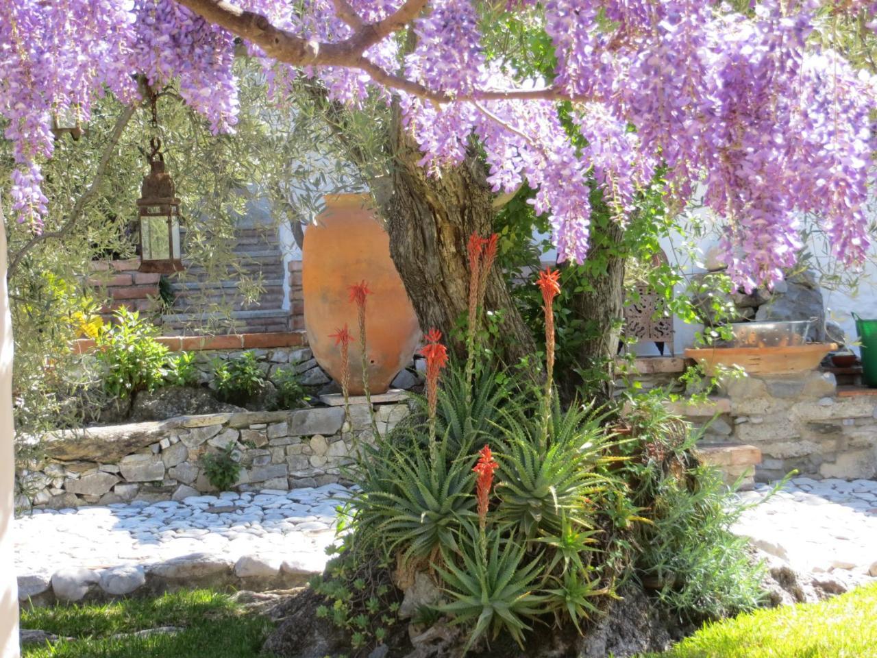 Colores en el Viento — hotel in Frigiliana