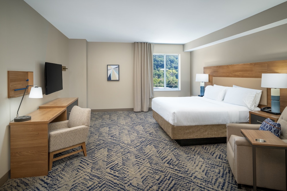 Candlewood Suites Asheville Downtown by IHG - photo 9