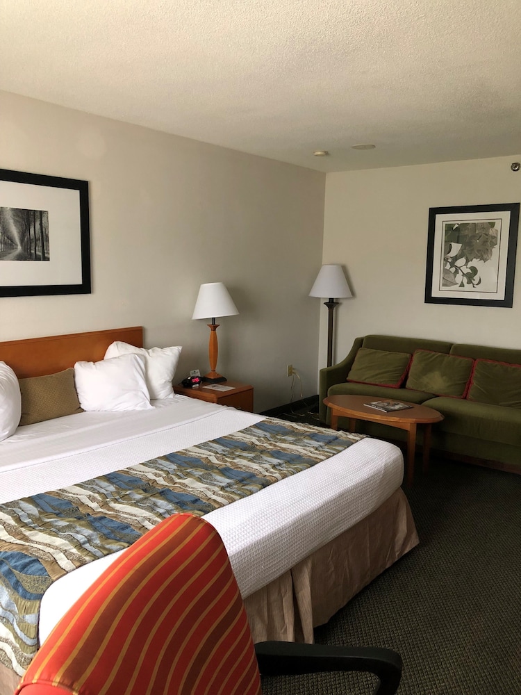 Capital Plaza Hotel - photo 12