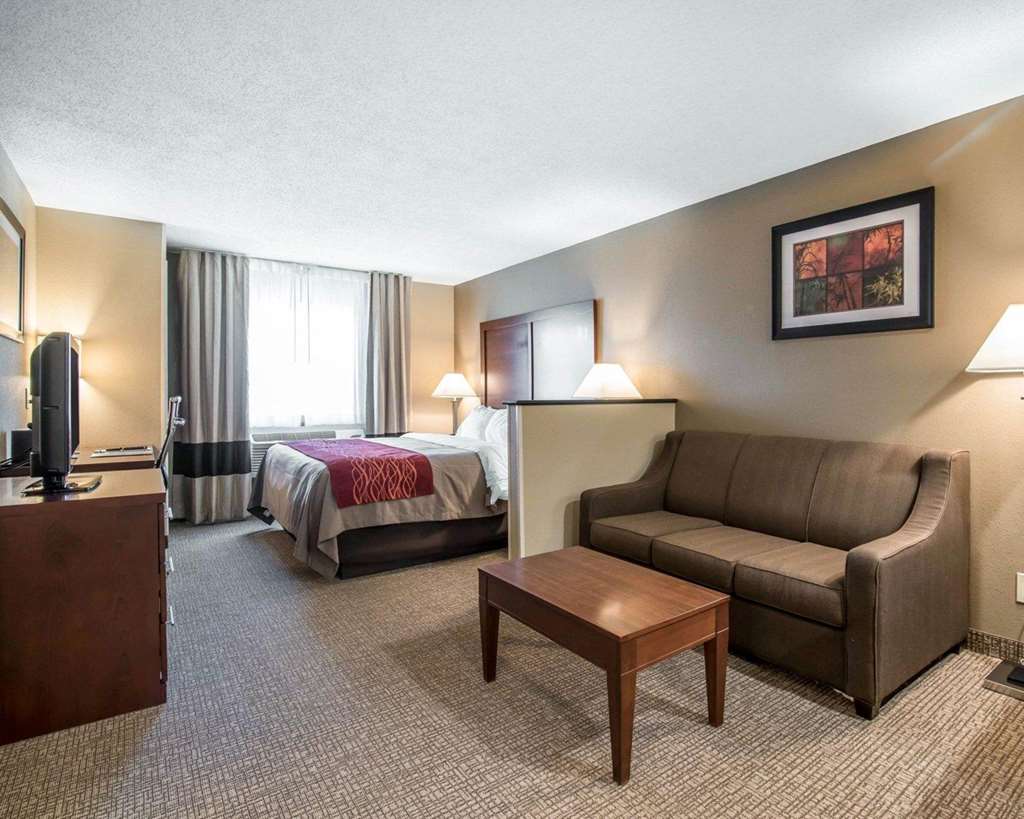 Comfort Inn Saugerties - photo 26