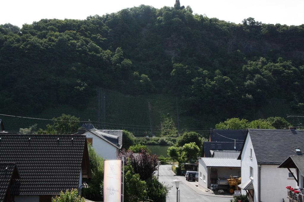 Weingut Knodt Trossen — Krov — photo 4