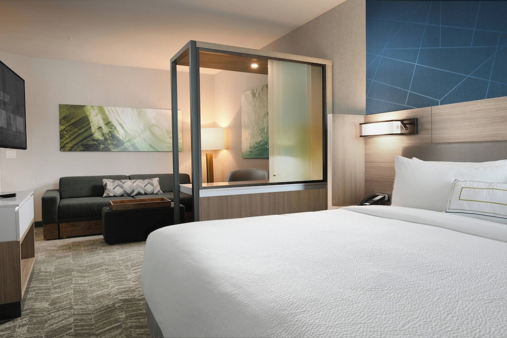 SpringHill Suites by Marriott Dallas DFW Airport South CentrePort - photo 6