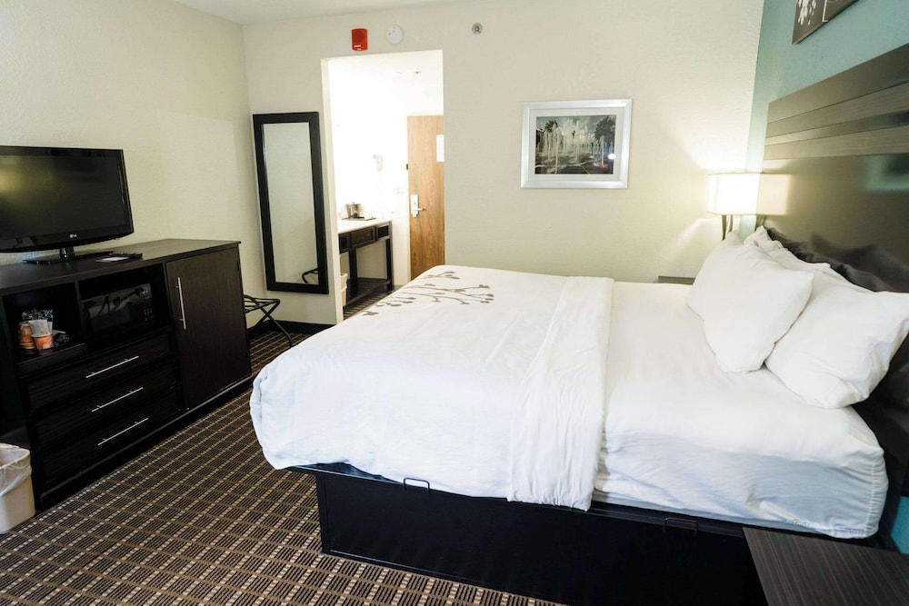 Sleep Inn & Suites Knoxville West - photo 32