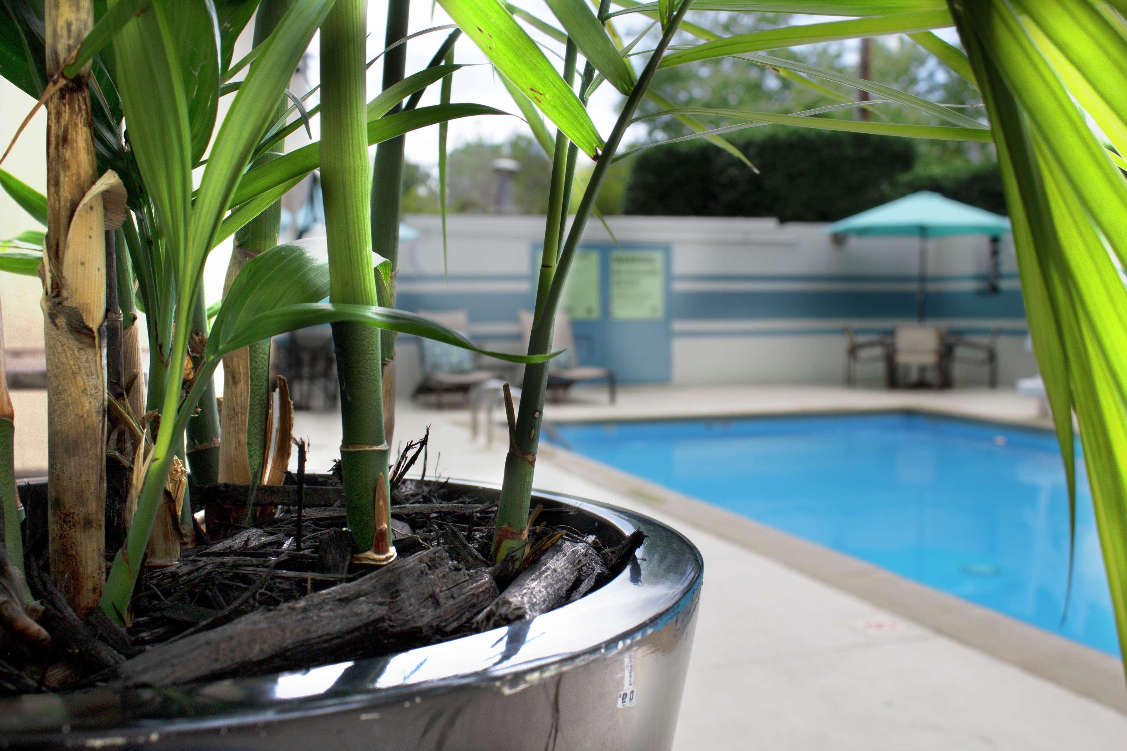 DoubleTree by Hilton Charlotte Gateway Village - photo 101