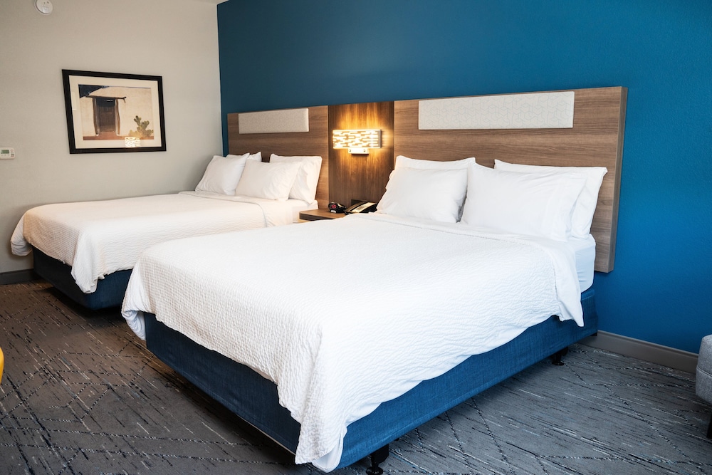 Holiday Inn Express & Suites Las Cruces North by IHG - photo 14