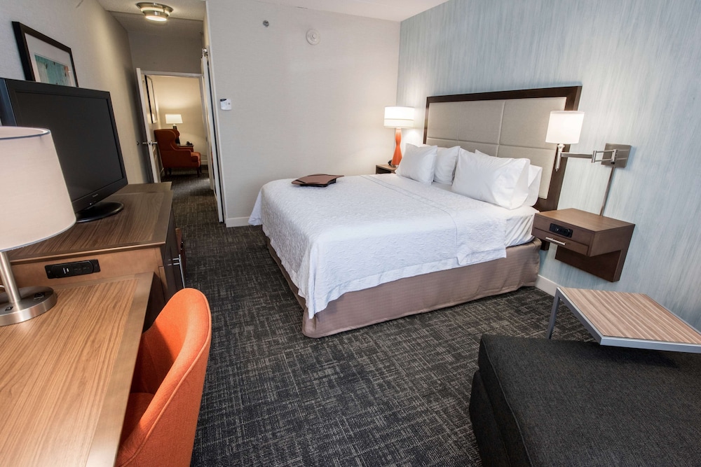 Hampton Inn Albany Western Ave University Area - photo 14