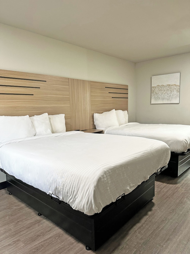 Imperial Suites Adults Only - photo 19