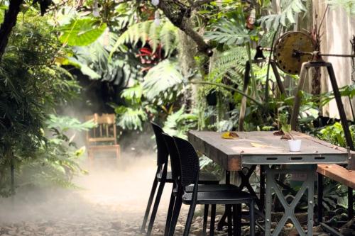 Thỏ Non Garden Bảo Lộc Center 02 in Bao Loc, Vietnam