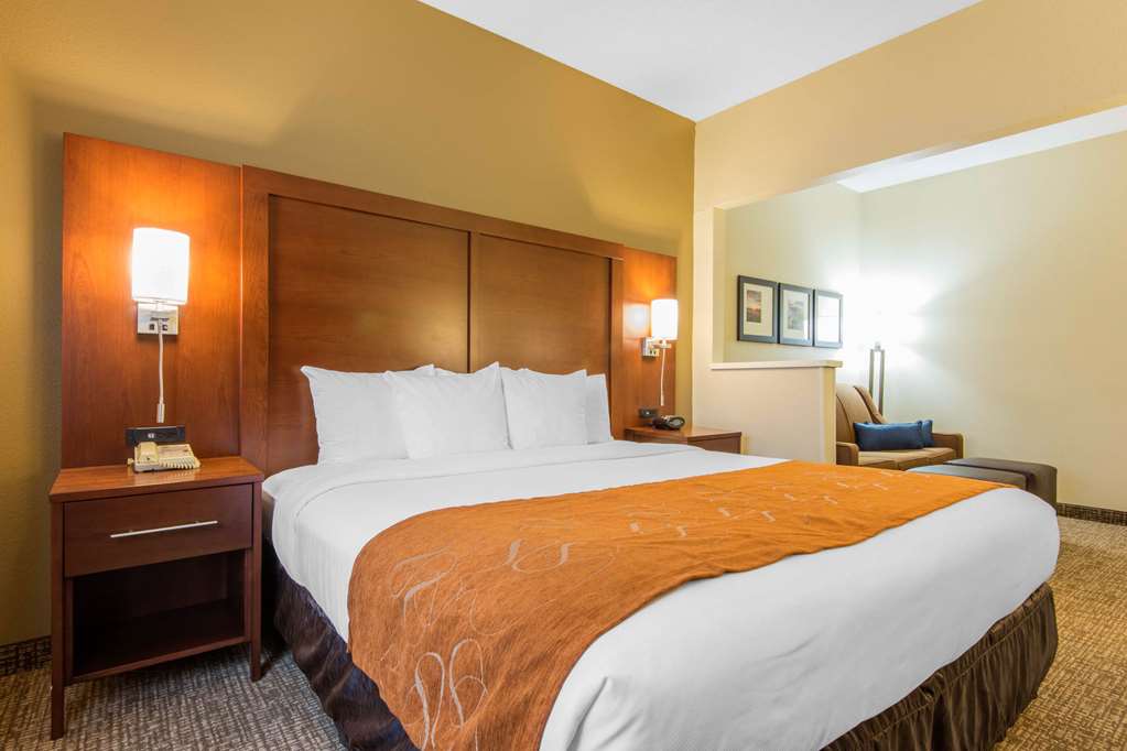 Comfort Suites Rochester Henrietta University Area - photo 19