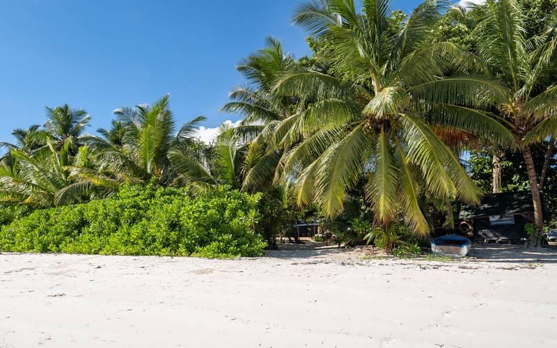 Bliss Praslin Seychelles in Unknown City, Sweden