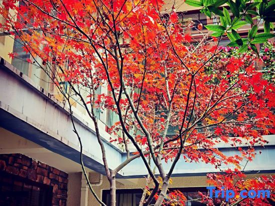 Sweetome Resorts - last minute hotel in Chengdu