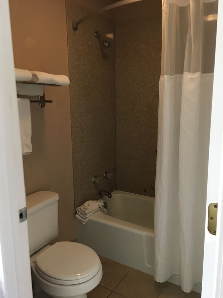 Pine Tree Inn - photo 36