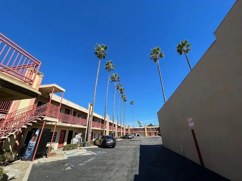 Palm Tree Inn - photo 9